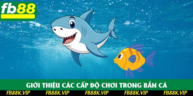 Giới thiệu các cấp độ chơi trong bắn cá