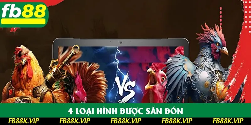 4 loại hình được săn đón