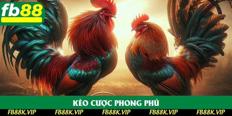 Kèo cược phong phú