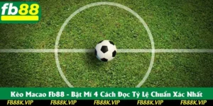 Kèo Macao FB88 - Bật Mí 4 Cách Đọc Tỷ Lệ Chuẩn Xác Nhất