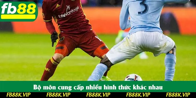 Bộ môn cung cấp nhiều hình thức khác nhau