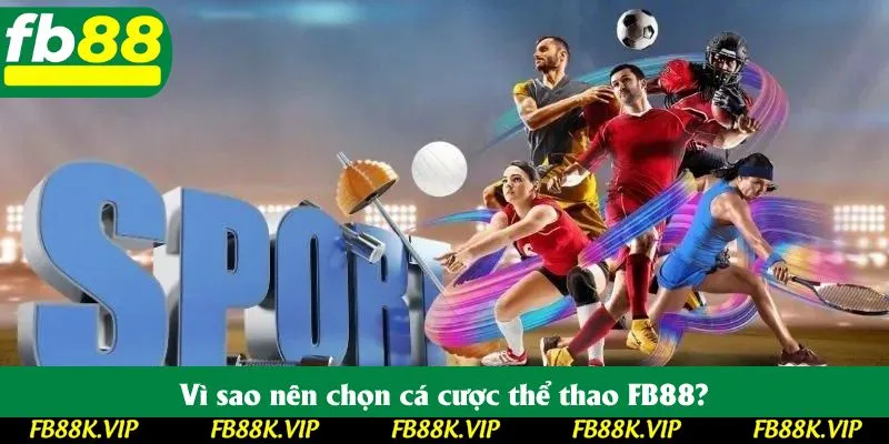 Vì sao nên chọn cá cược thể thao FB88?