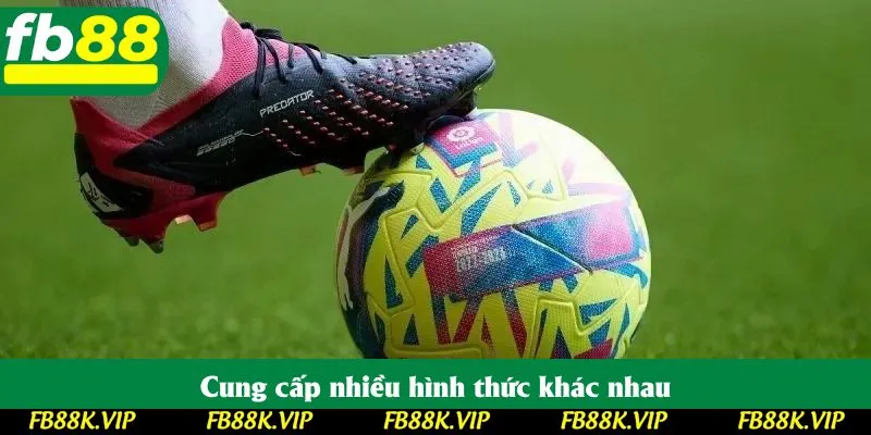 Cung cấp nhiều hình thức khác nhau