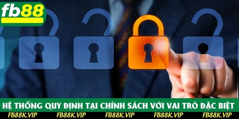 Hệ thống quy định tại chính sách với vai trò đặc biệt